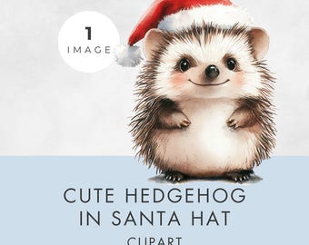 Immagine clipart di un riccio con cappello di Babbo Natale ad acquerello: PNG trasparente natalizio (uso commerciale)