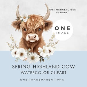 Spring Highland Cow Clipart, IMMAGINE SINGOLA, Uso commerciale, PNG trasparente, Baby Shower, Pasqua e festa per bambini, Acquerello, Carta artigianale