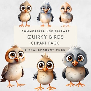 Quirky Bird Clipart, 6 IMAGES, Commercial Use, Transparent PNGs, Funny Birds, Clip Art, Whimsical Cartoon, Digital Download