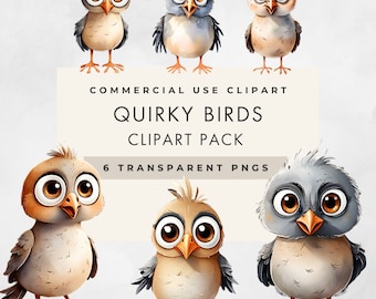Funny Bird Clipart: Whimsical Cartoon PNGs, Commercial Use (Digital Download)