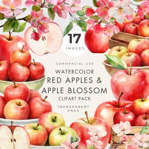 Puede incluir: Una colección digital de 17 imágenes en acuarela de manzanas rojas y flores de manzano. El conjunto incluye manzanas rojas enteras, mitades de manzana y racimos de flores rosas y blancas, presentadas en cuencos y cajas de madera.