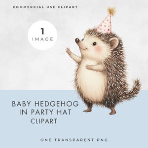 Hérisson en clipart chapeau de fête, IMAGE UNIQUE, usage commercial, PNG transparent, anniversaire d'enfants et conception de baby shower, livre d'histoires d'animaux, chambre d'enfant