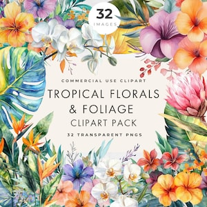 Clipart fleurs tropicales, usage commercial, PNG transparent, floral hawaïen, exotique, feuilles de palmier, Monstera, mariage d'été à Hawaï, aquarelle