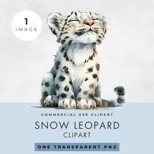 Clipart de leopardo da neve, IMAGEM ÚNICA, Uso comercial, PNG transparente, Chá de bebê, Ilustração em aquarela, Berçário do Ártico, Download digital