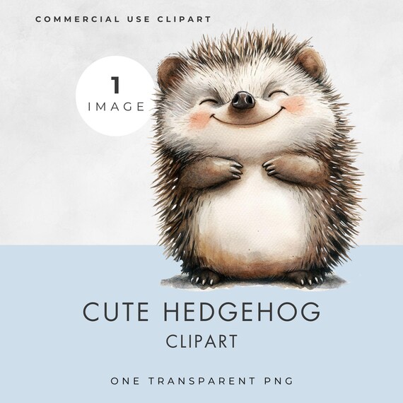 Hedgehog Clipart, SINGLE IMAGE, Commercial Use, Transparent PNG, Cute, Baby Shower Design, Watercolor Illustration, Nursery, Paper Crafts