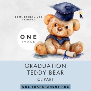 Clipart de urso de pelúcia de formatura, IMAGEM ÚNICA, Uso comercial, PNG transparente, Urso de formatura fofo, Graduação, Aquarela, Download digital instantâneo