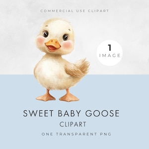 Clipart de ganso bebé, IMAGEN ÚNICA, Licencia comercial, PNG transparente, Cuento infantil, Adorable ganso, Fantasía, Clip Art para Baby Shower y Cumpleaños