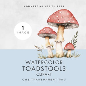 Clipart champignon vénéneux, une seule image, licence commerciale, PNG transparent, clipart de Style livre de contes, fantaisiste, boisé, décoration aquarelle chambre d'enfant