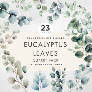 Watercolor Eucalyptus Leaves Clipart, Commercial Use, Transparent PNGS, Wedding Invite Clip Art, Foliage Shower Greenery, Digital Download