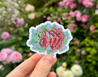 Sticker eiwitstructuur