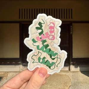 Puede incluir: Una pegatina con una colorida ilustración de una estructura proteica. El diseño incluye elementos en forma de cinta verde y rosa, sobre un fondo color crema. La pegatina está sujeta en una mano.