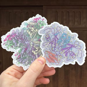 Puede incluir: Dos pegatinas troqueladas con ilustraciones detalladas y coloridas de estructuras biológicas complejas. Una pegatina tiene elementos rosas, verdes y amarillos, mientras que la otra tiene componentes azules, morados y naranjas. Las pegatinas se sostienen contra un fondo de madera.