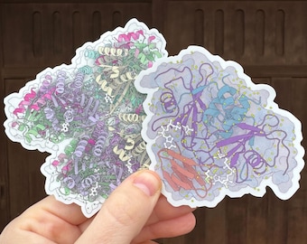 Sticker eiwitstructuur KaiC en ADPRase | Circadiane klok Moleculaire biologie Wetenschap kunst