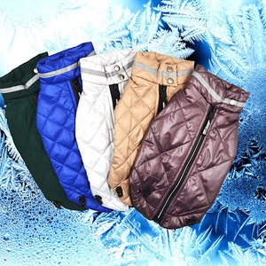 Winter clothing for small dogs, Coat for dogs in cold weather, Winter clothing for pets, Stylish winter clothes for dogs