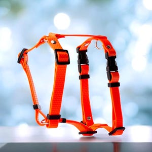 Waterproof Dog Harness – No Pull, Durable & Adjustable Pet Vest for Small Medium Large Dogs – Outdoor, Rain-Resistant Gear