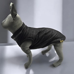 A cozy winter jacket for your pet,  Chic dog fashion: Trendy dog clothes for winter adventures