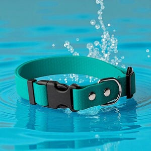 Waterproof Dog Collar – Durable No-Stink Pet Collar, Adjustable & Easy to Clean for Small Medium Large Dogs