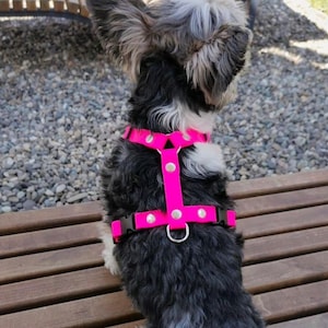 Waterproof Dog Harness – No Pull, Durable & Adjustable Pet Vest for Small Medium Large Dogs – Outdoor, Rain-Resistant Gear