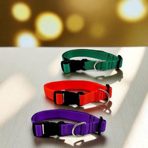 Adjustable Nylon Dog Collar – Durable, Lightweight & Colorful