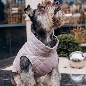 Dog Jackets, Winter Pet Close, Puppy Vest, Dog Down Jacket, Dog Clothes Winter