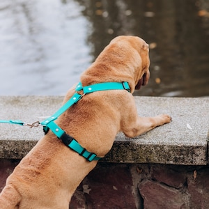 Waterproof Dog Harness – No Pull, Durable & Adjustable Pet Vest for Small Medium Large Dogs – Outdoor, Rain-Resistant Gear