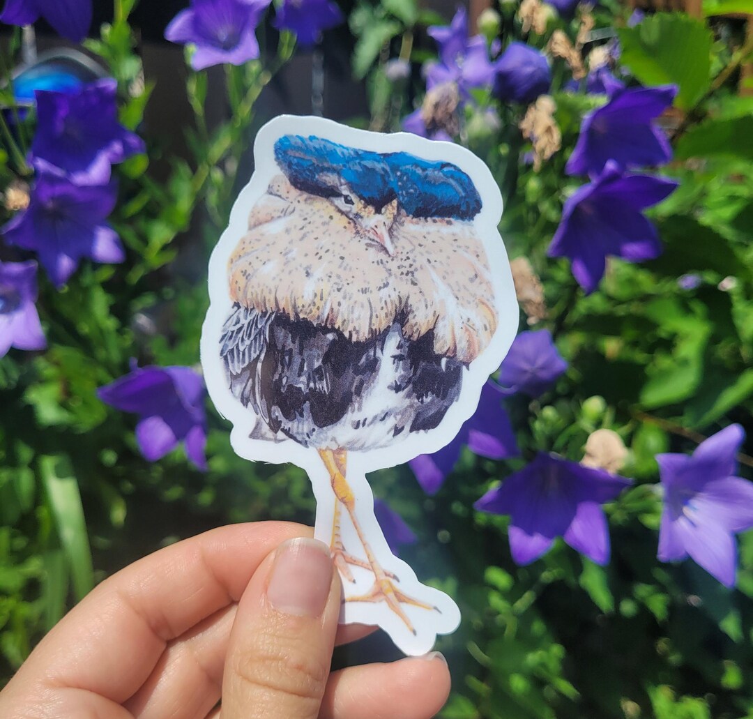 Weird Bird Vinyl Sticker - Ruff Bird Waterproof Vinyl Sticker - Etsy