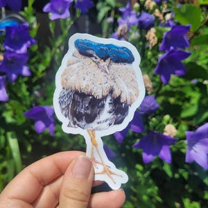Weird Bird Vinyl Aufkleber - Ruff Bird Wasserdichter Vinylaufkleber