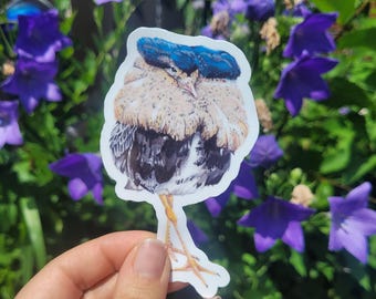 Whimsical Ruff Bird Sticker - Unique Wildlife Illustration Decal - Waterproof Vinyl Bird Art