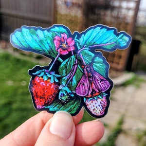 Sticker floral en vinyle - Fraise - Fruit et mite