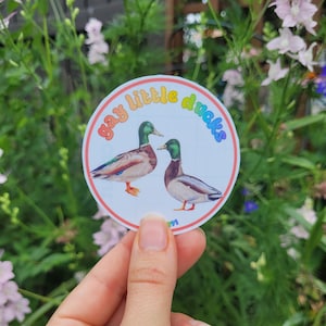 Schwuler kleiner Stockenten Enten Queer Pride Aufkleber - LGBTQIA