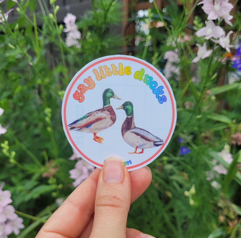 Gay Little Mallard Ducks Queer Pride Sticker LGBTQIA Etsy