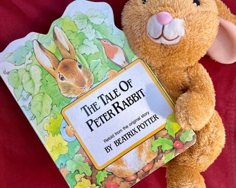 Coniglio di peluche con libro Peter Rabbit Toy Coinvolgi i bambini nella lettura di Stuffy con un libro di fiabe per gli insegnanti Articoli per la scuola di lingua in classe