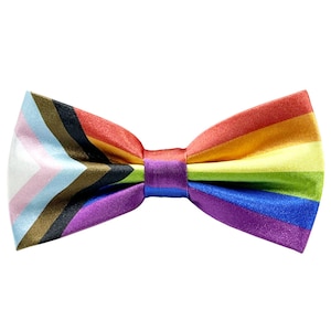 Può includere: Un papillon arcobaleno con un motivo a righe rosa, blu, marrone, viola, verde, giallo, arancione e rosso.
