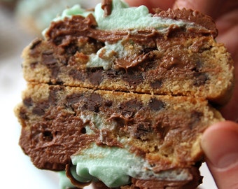 Mint & chocolate Cookie Recipe | with double frosting chocolate cookie recipe | gourmet cookie recipe frosted cookie recipe