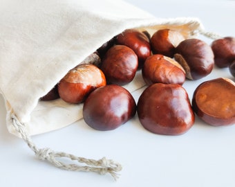 10 PSC naturally dried horse chestnuts. Rustic ornament for Christmas decor.