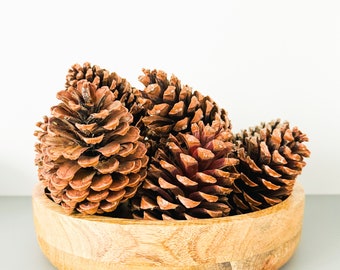 Large pinecones | Natural home decor | Rustic wedding ornament | DIY craft supplies | Christmas decoration | Winter table decor