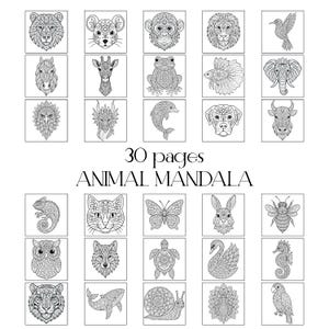 Animal Mandala Coloring Pages: 30 Intricate Designs (PDF, SVG, PNG Files)