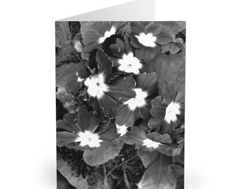 Black and white Greeting Cards (5 Pack) vertical and horizontal