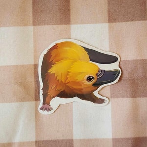 Platypus Sticker | Water Resistant | Matte