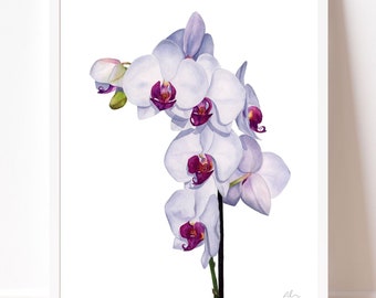 Orchid Flower Watercolor Art Print | Floral Wall Decor
