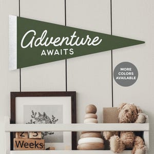 May include: A green pennant flag with the words "Adventure Awaits" in white script. The flag has a silver-colored section on the left side. The flag is hanging above a shelf with a framed picture, wooden blocks, and a teddy bear.