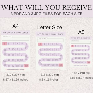 30 Day Challenge Printable: Goal & Habit Tracker (PDF) image 3