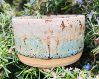May include: A handmade ceramic bowl with a speckled, layered glaze. The bowl features a light beige base, transitioning to a turquoise and white upper section with brown accents. The bowl is surrounded by green foliage.