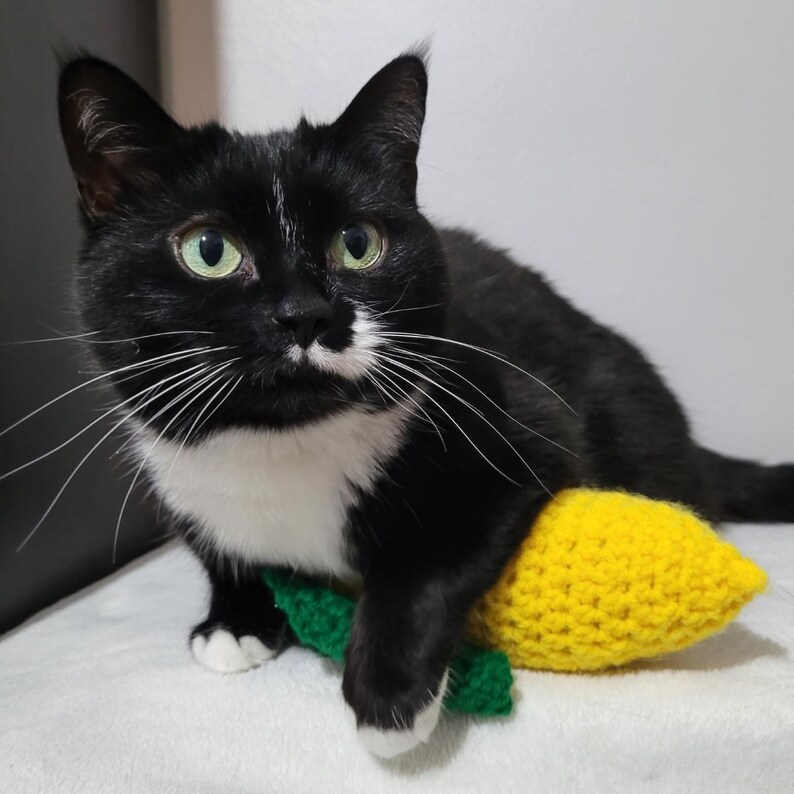 Gehaakt kattenspeeltje Corn Kicker afbeelding 2