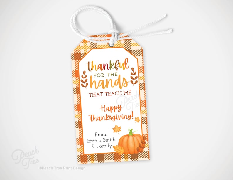 Op de afbeelding: Thanksgiving cadeaulabel met een oranje en bruine geruite rand. Het label leest "dankbaar voor de handen die me leren" en "Fijne Thanksgiving!" met een pompoen- en bladerillustratie. Inclusief een wit touwtje.
