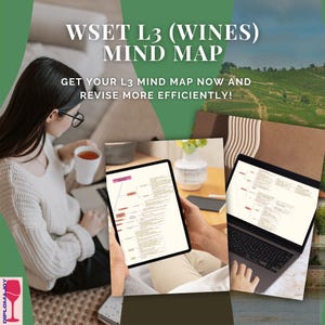 WSET L3 Mind Map (visual theory summary, PDF download)