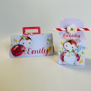 Pode incluir: Duas caixas de presente brancas decoradas com desenhos de joaninhas e florais. Uma caixa tem uma alça vermelha e a outra tem um canudo listrado vermelho e branco. Ambas as caixas têm o nome "Emily" em escrita vermelha.