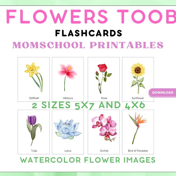 Flowers Toob Safari LTD Identification Flashcards, Flower flashcards, Watercolor flower images, homeschool, classroom, prek, sensory