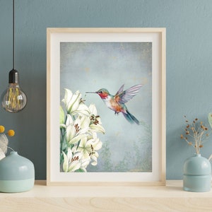 Hummingbird Vintage Print, Hummingbird Wall Art, Bird Wall Print, Antique Bird Art Print, Printable Bird Art, Retro Art, Digital Download