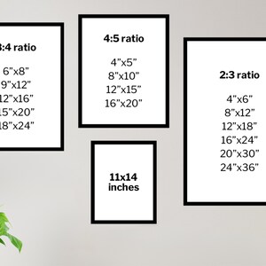May include: A white wall with three black frames containing different aspect ratios and their corresponding standard sizes in inches. The frames are labeled 3:4 ratio, 4:5 ratio, and 2:3 ratio. A separate black frame labeled 11x14 inches is below the 4:5 ratio frame.